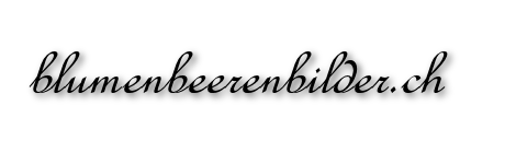 blumenbeerenbilder